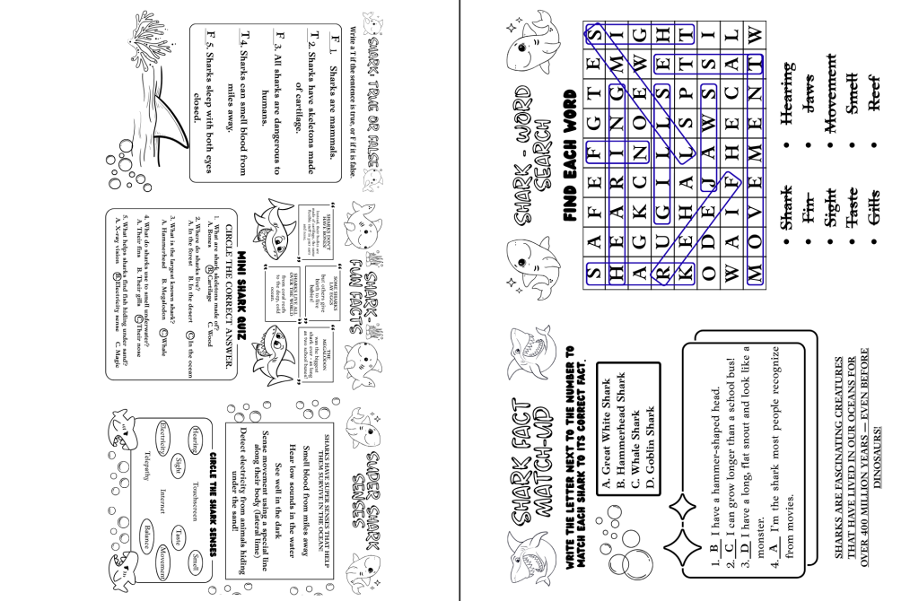 shark activity answer sheet 1