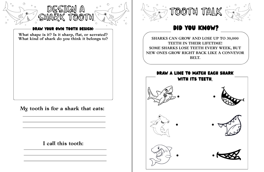 Shark Activity Sheet 2