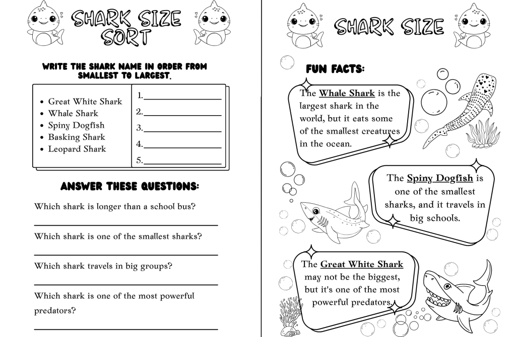 Shark Activity Sheet 9
