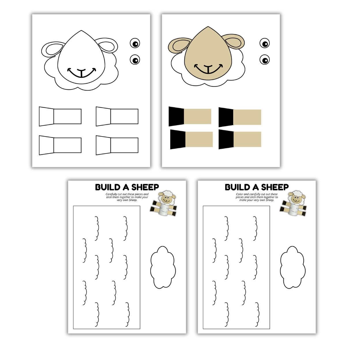 Color and Build a Sheep