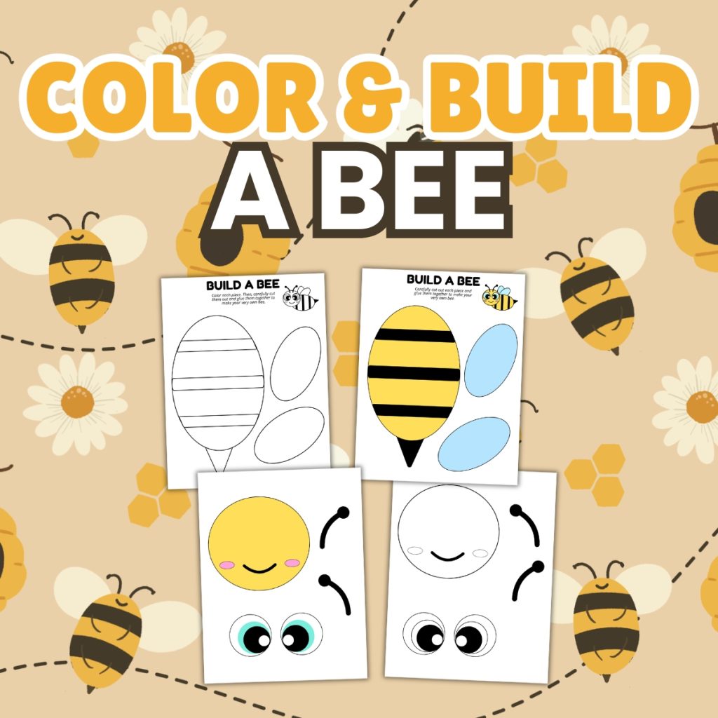 color and build a bee