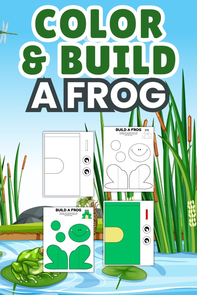 Color and Build a Frog
