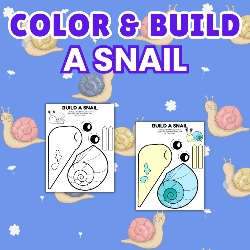 Color and Build a Snail