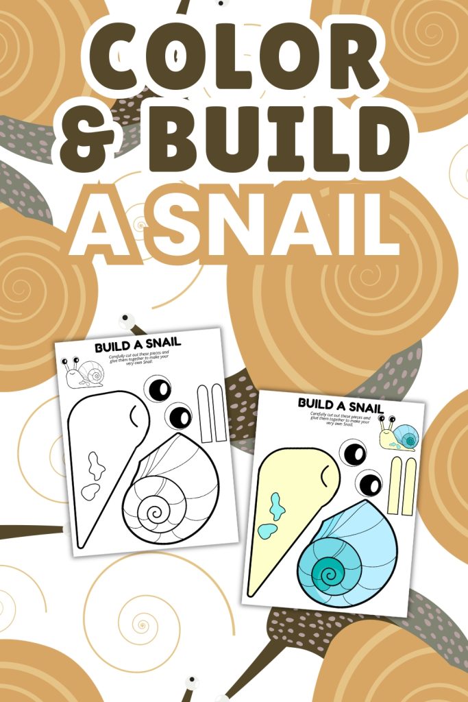 Color and Build a Snail