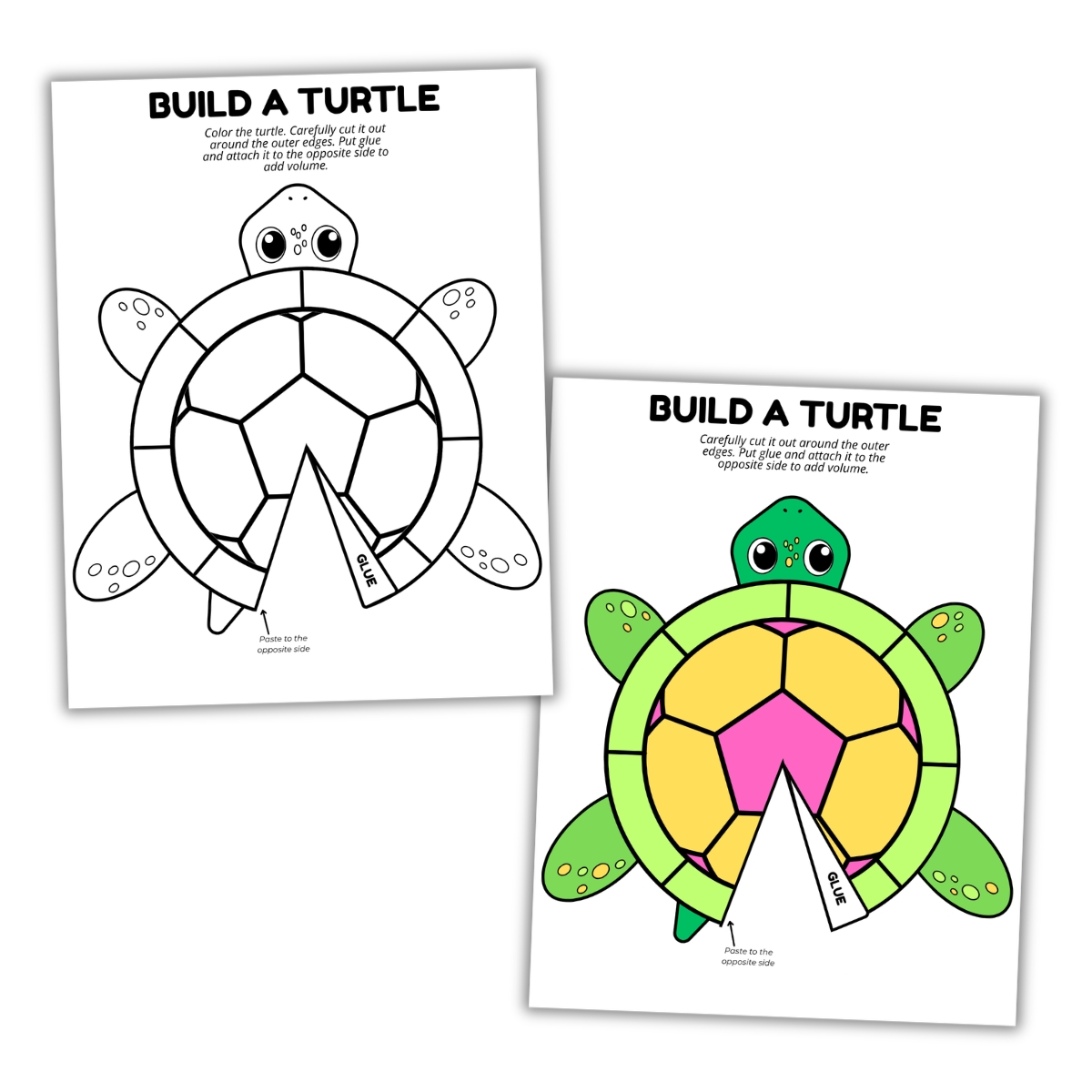 Color and Build a Turtle