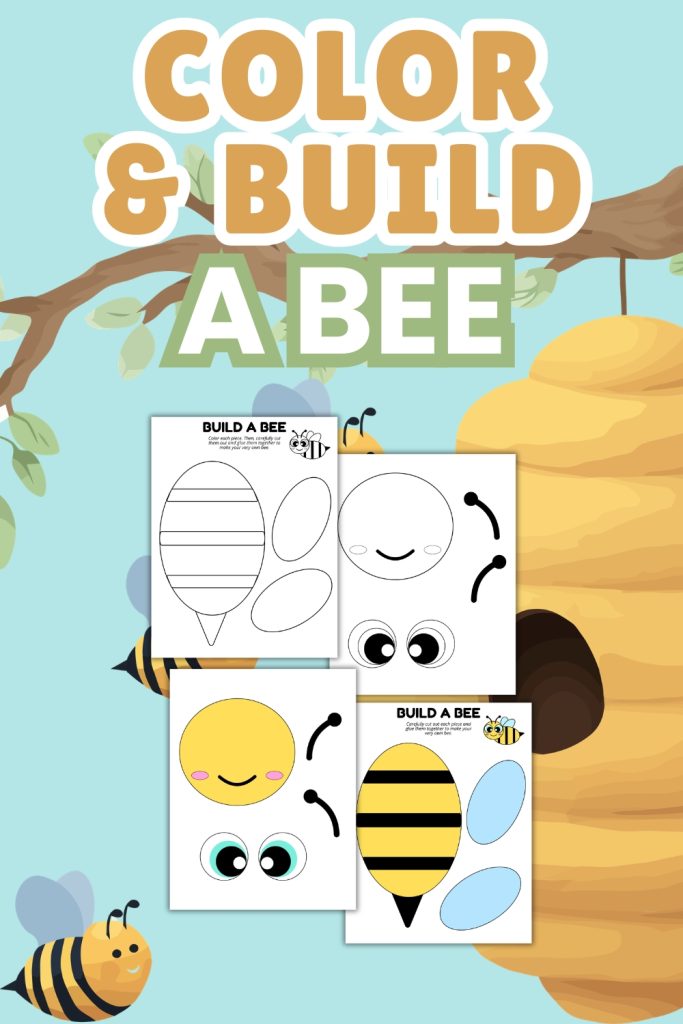 Color and Build a Bee