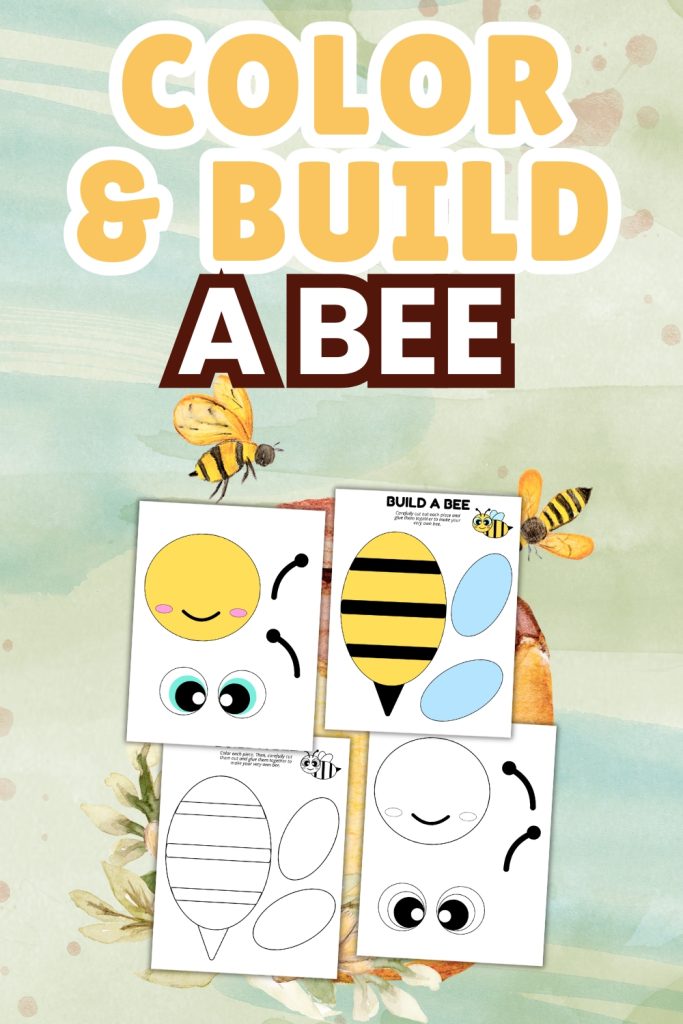 Color and Build a Bee