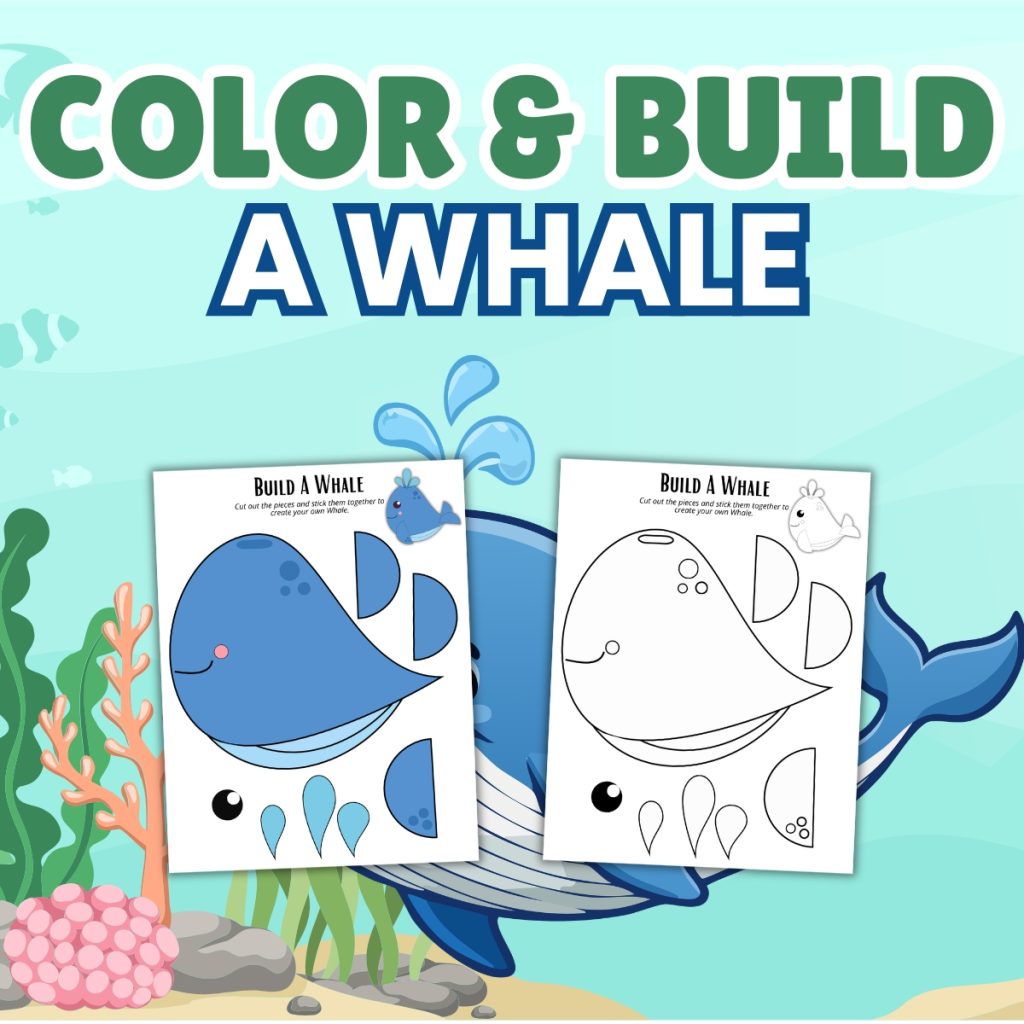 Color and Build a Whale