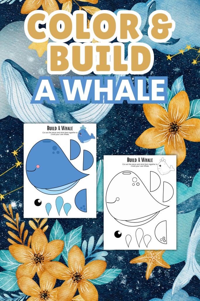 Color and Build a Whale