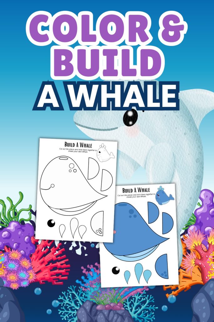 Color and Build a Whale